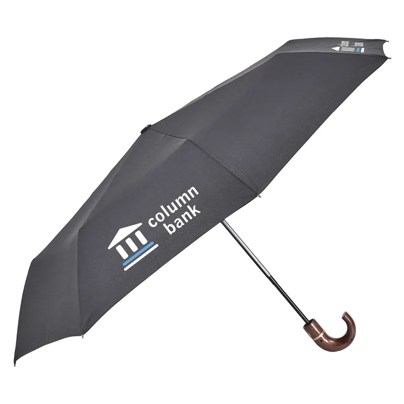 CEO Umbrella (4 Imprints) view 2