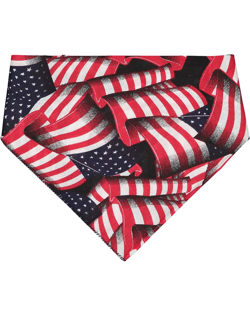 Flag Print