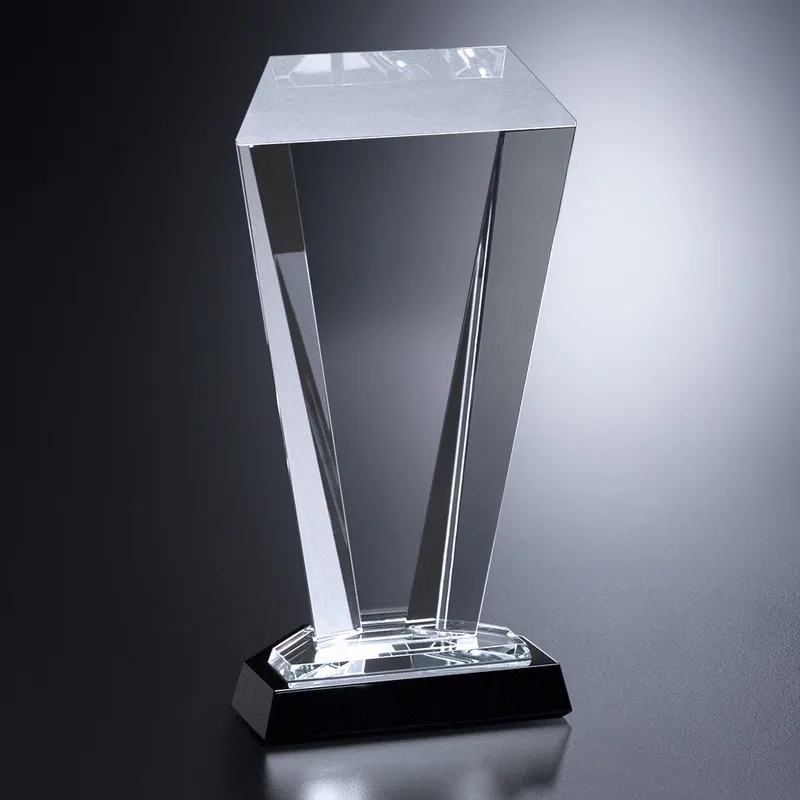 Weston Award 8" view 2
