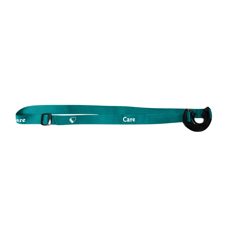 Teal Blue