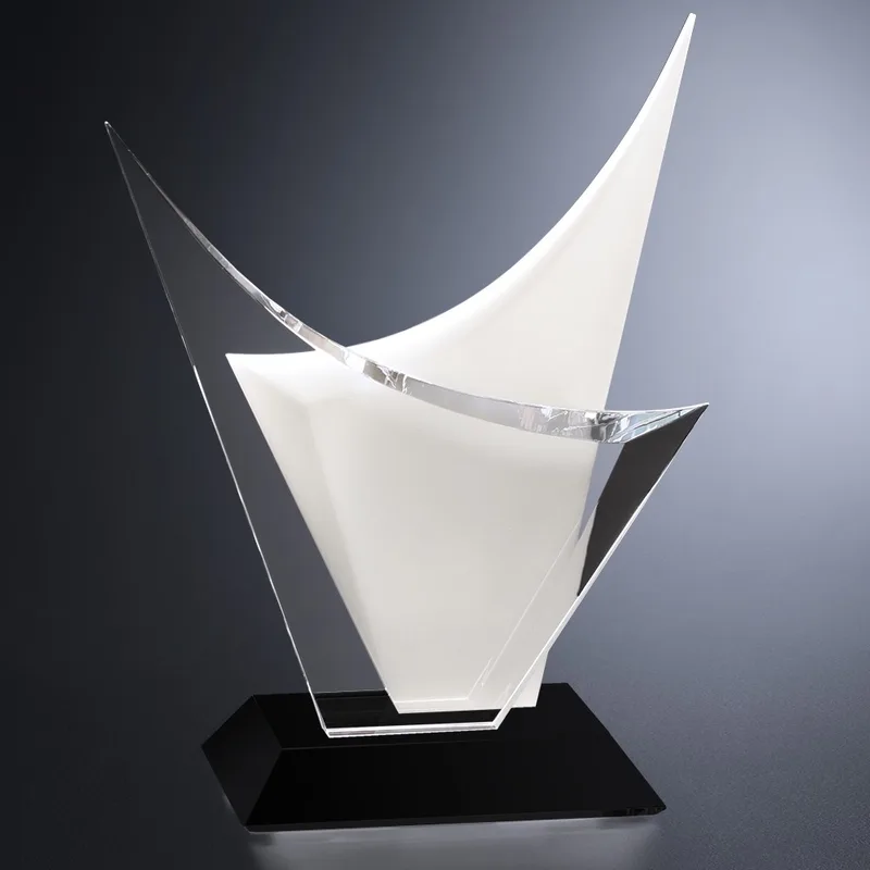 Voyager Award 9-3/4" view 2