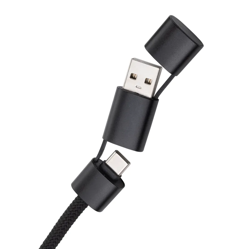Multi-connector Cable