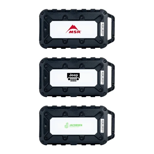 Lion Energy Cub 10000 mAh Powerbank