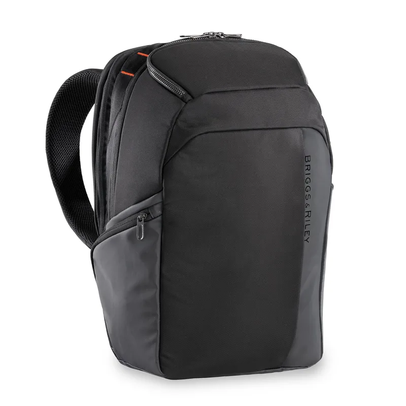 Briggs & Riley Zdx Cargo Backpack - Black