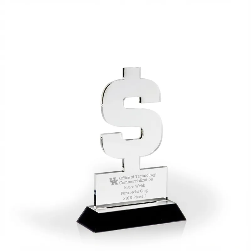 USA Coast-to-Coast Award with Black Wood Base view 2