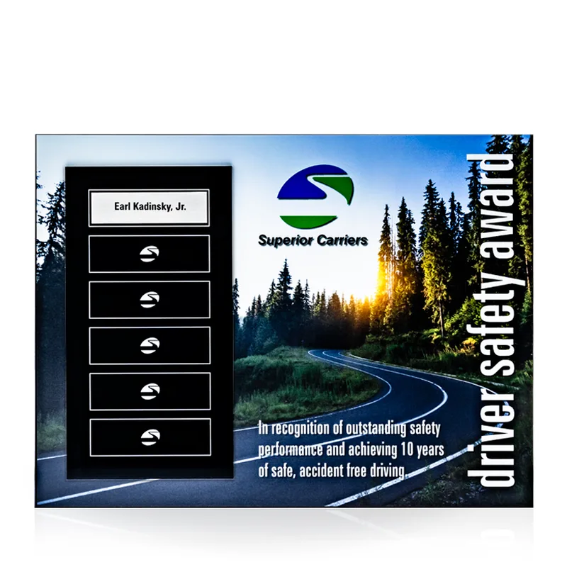 Radiant Perpetual Award Plaque - 9x12, Horizontal view 2