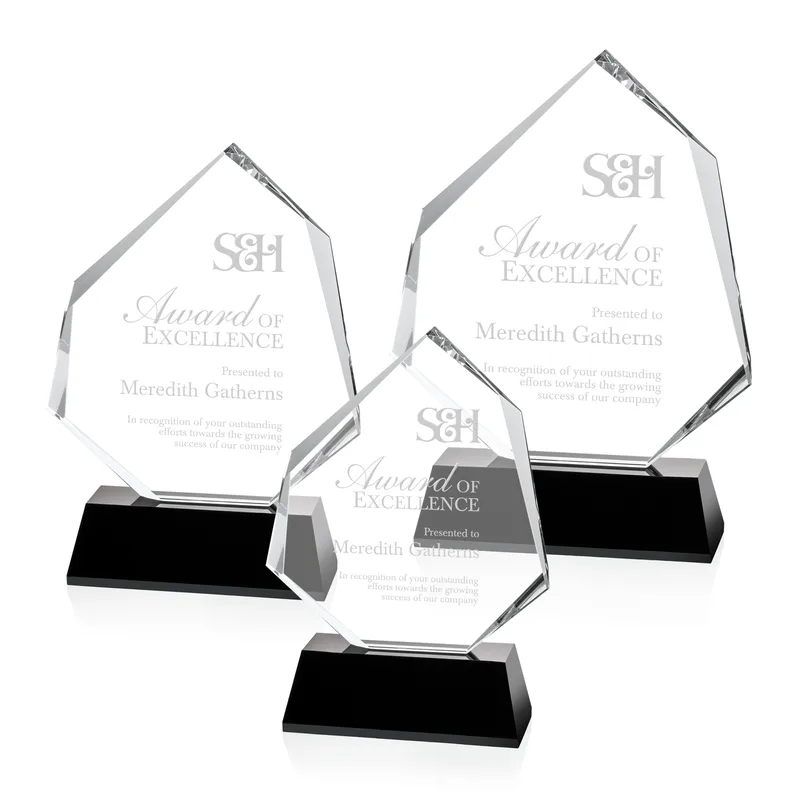 Warner Award