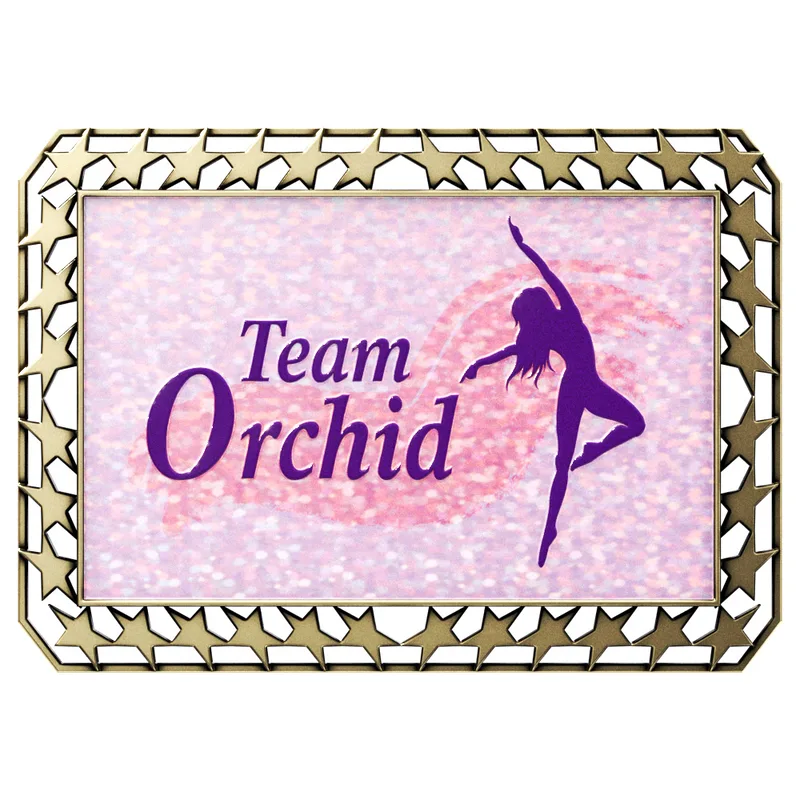Vibraprint® Bright Star Border Rectangle Insert Medallions (3-1/2") view 4
