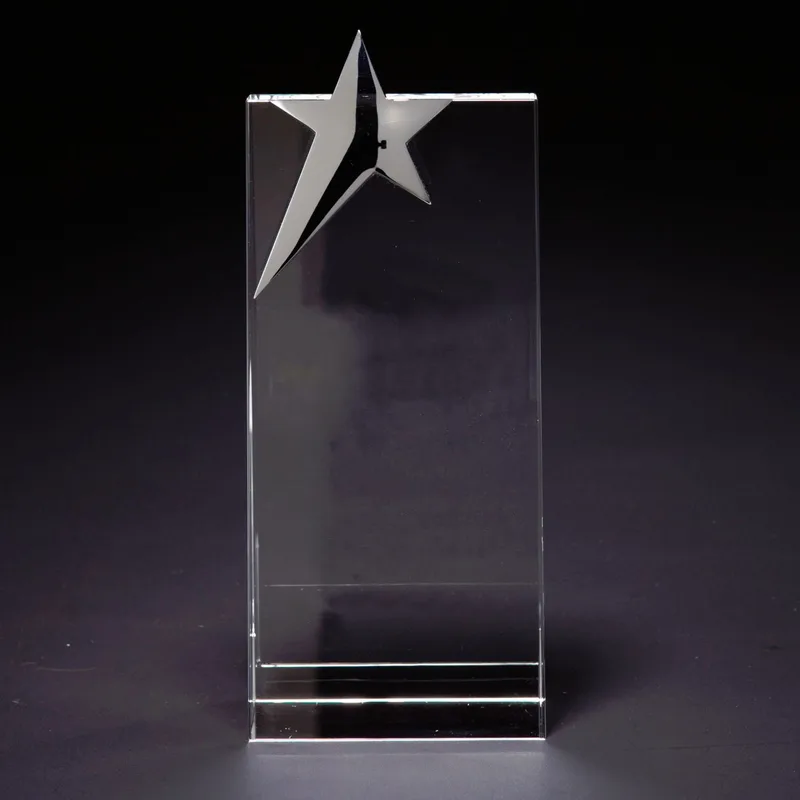 Skyward Star Large Optically Perfect Award view 2