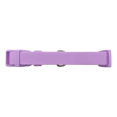 Lilac Purple