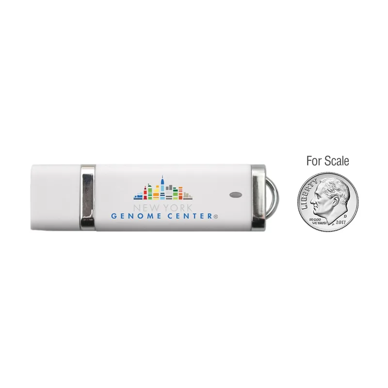 White Logo Scale