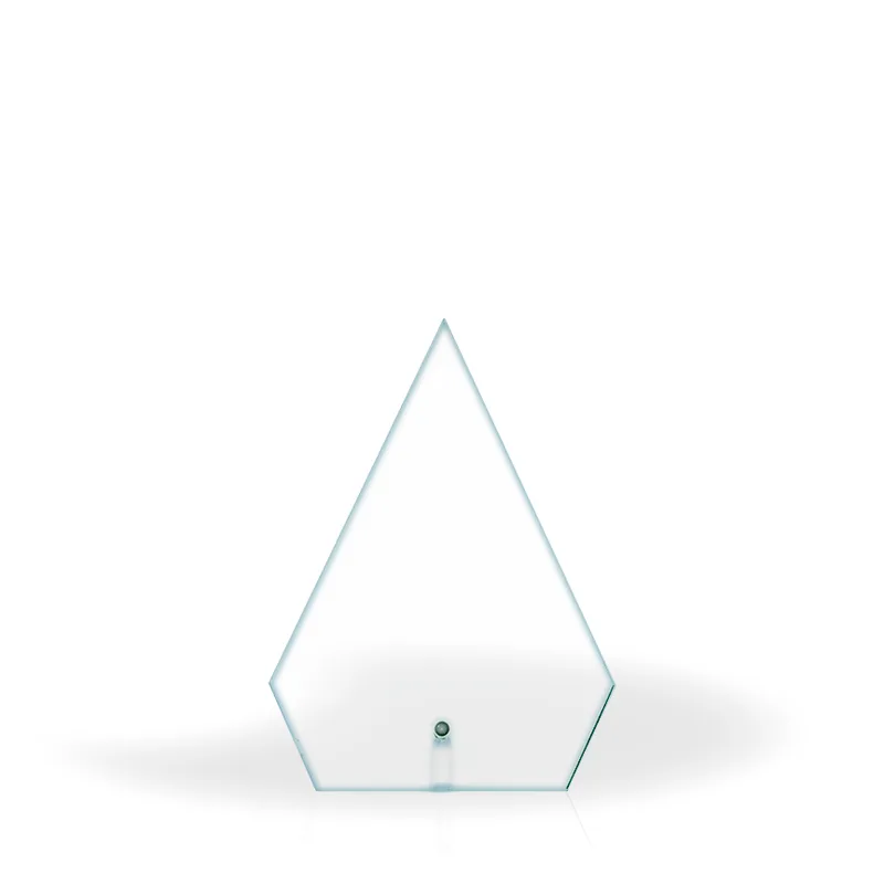 Annette Clear Glass Award view 2