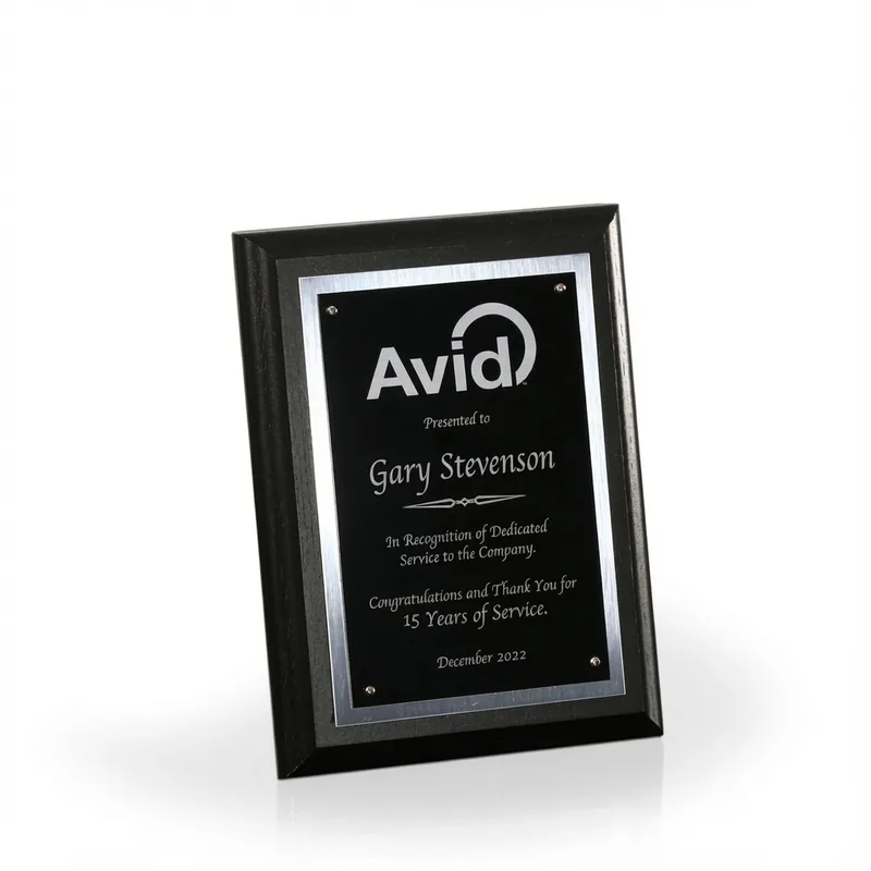 Joplin Award Plaque view 3