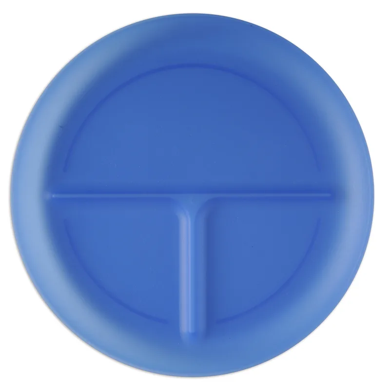 Portion Plate view 2