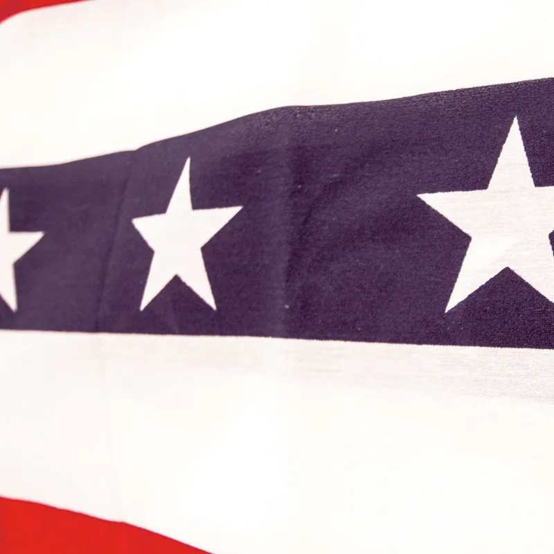 Stars & Stripes Bunting view 3