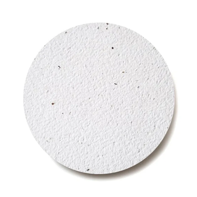 Bloomin® Seed Paper Coaster view 2