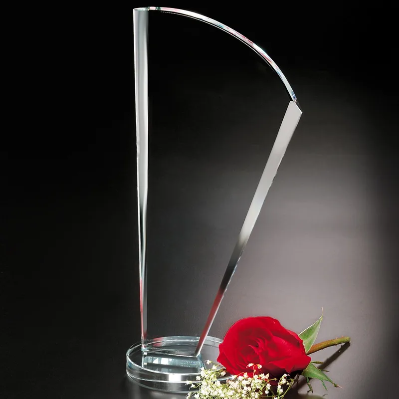 Merit Award 9-1/2" view 2