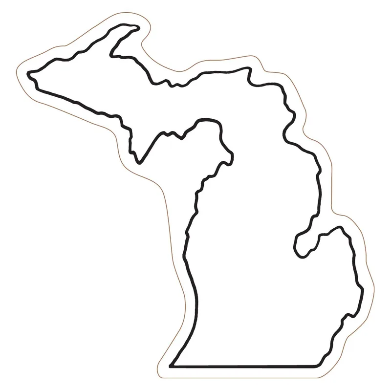 Michigan State Magnet view 2
