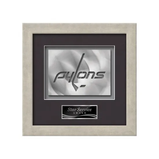 Eldridge Aquashape™ Award - Antique Silver