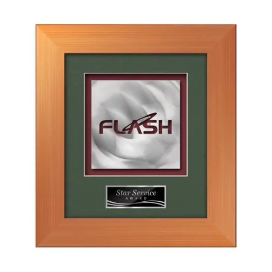 Premier Aquashape™ Award - Bronze