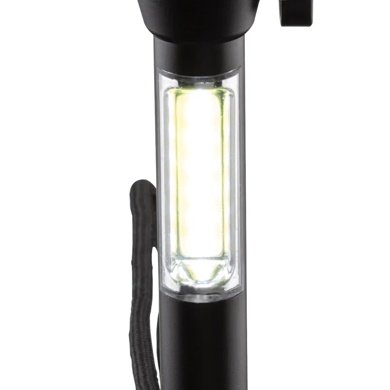 Light