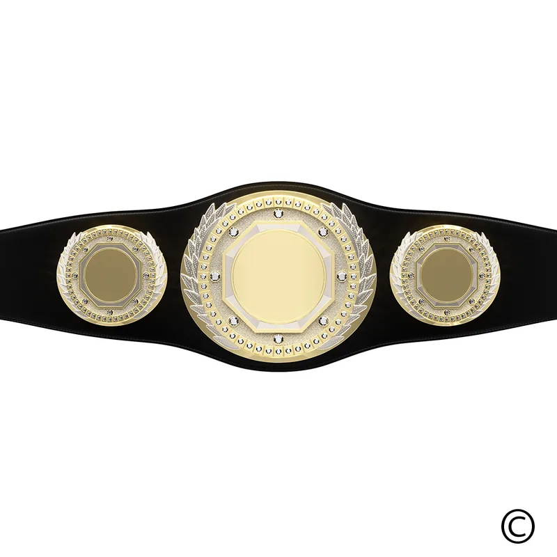 Vibraprint® Presidential Champion Belt view 2