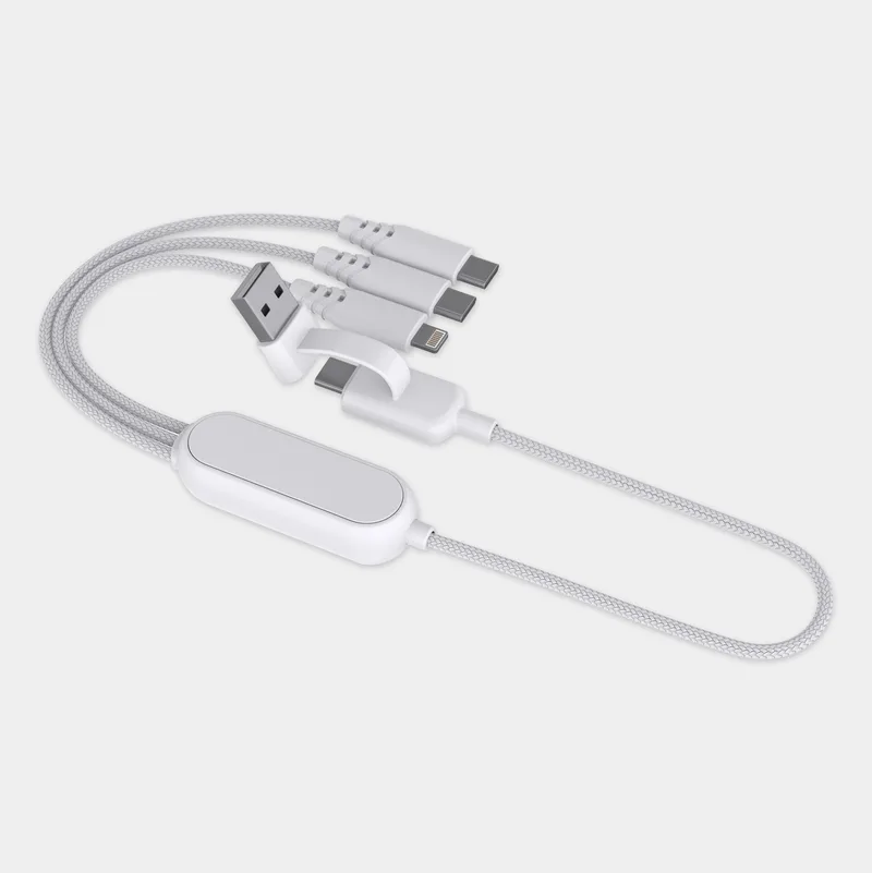 Leo - 100W Multi-Cable with USB-C and Lightning Adapters view 2