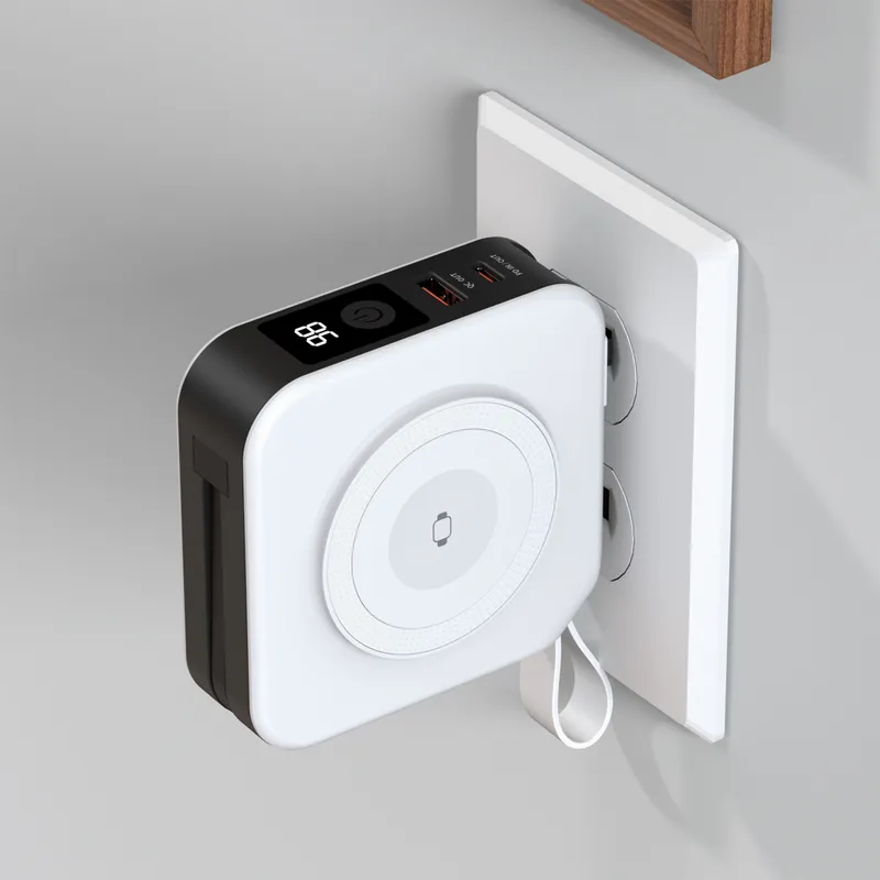 Wall Plug