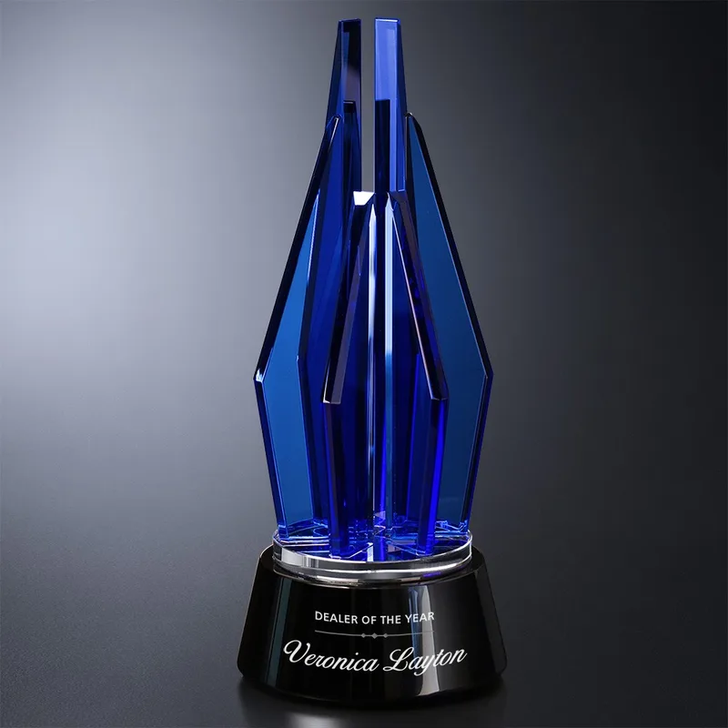 Vector Indigo Award 11" view 2