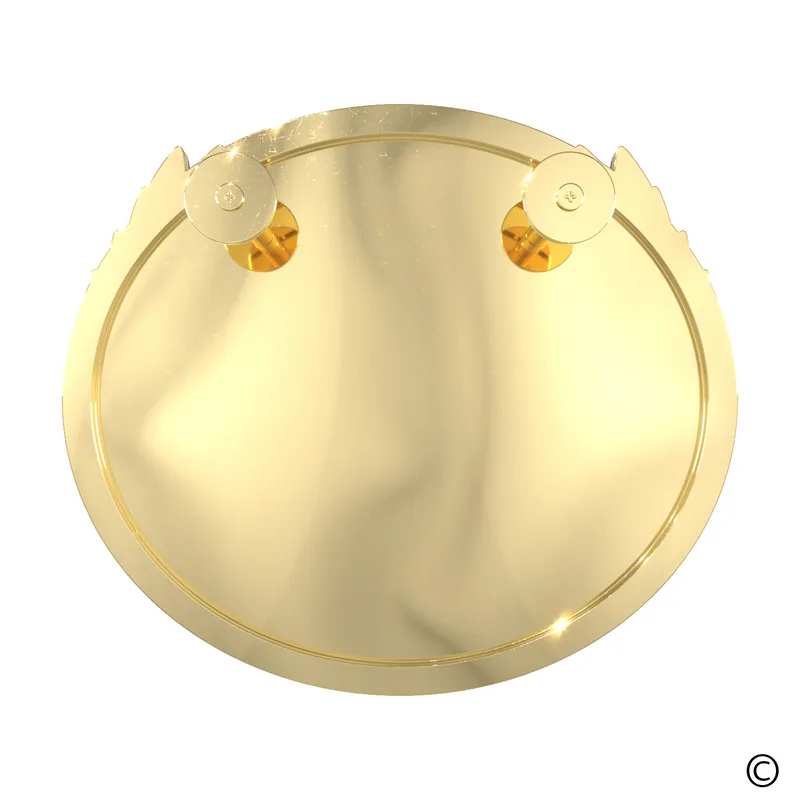 Bright Gold/Silver Back